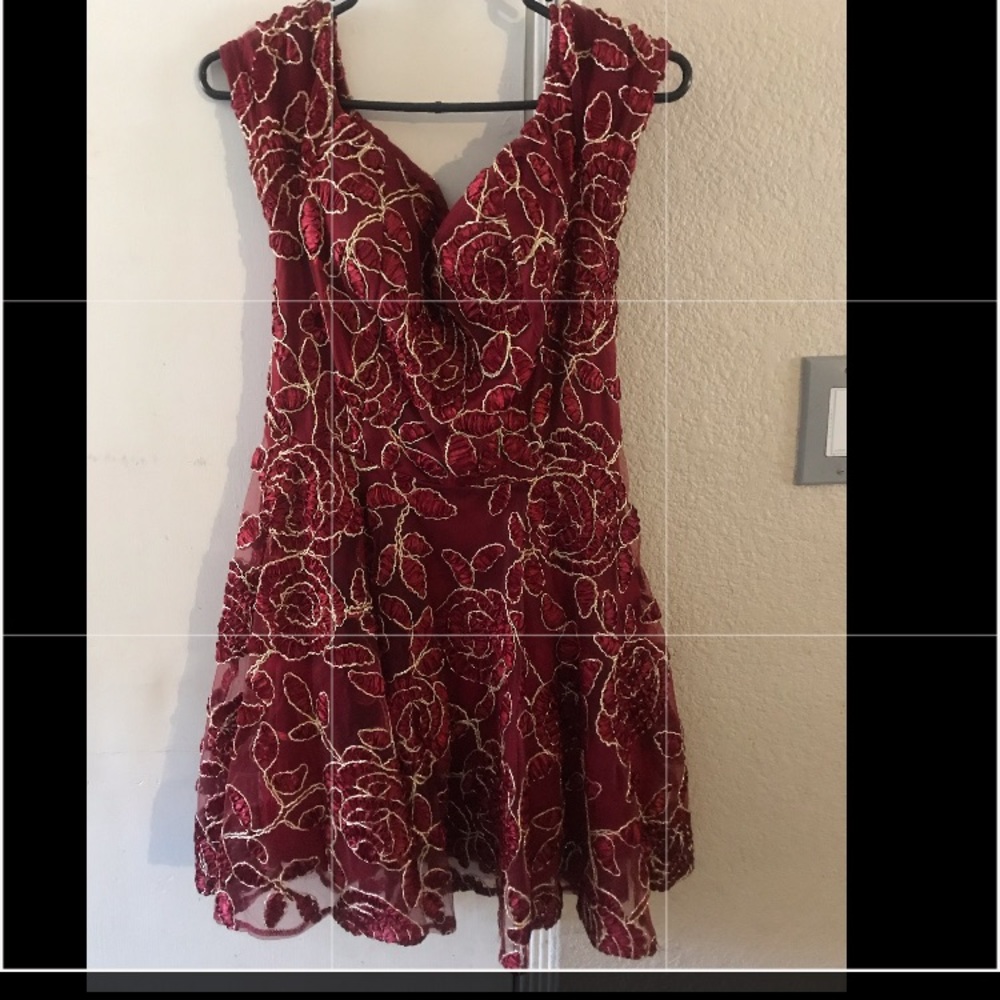 Fashion Nova Dress